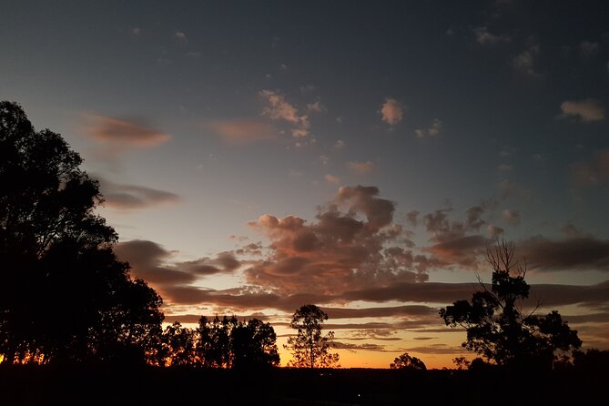 Full Day Private Wine Tour Exclusively Tailored To Suit You - Your first winery stop: chosen by you in the Lower Hunter Valley