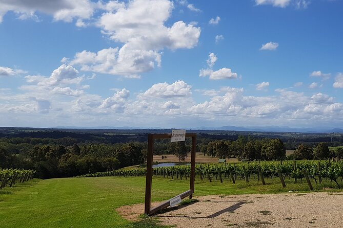 Full Day Private Wine Tour Exclusively Tailored To Suit You - How long is enough? Planning around 3 to 12 hours