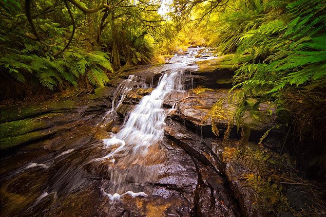 Fully Inclusive Blue Mountains Private Tour inc Scenic World & Featherdale Entry - Blue Mountains National Park lookouts: where the day earns its name