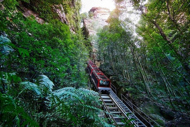 Fully Inclusive Blue Mountains Private Tour inc Scenic World & Featherdale Entry - Scenic World: cable car views, the steepest railway, and the Skyway ride