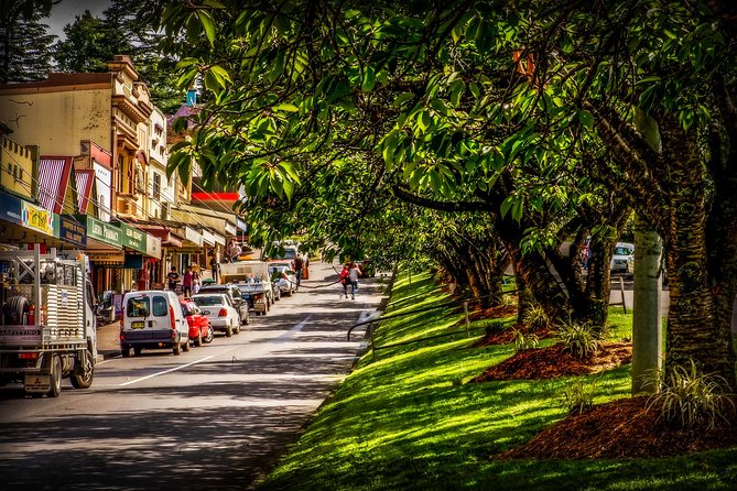 Fully Inclusive Blue Mountains Private Tour inc Scenic World & Featherdale Entry - Pickup, timing, and why starting at 7:30 matters