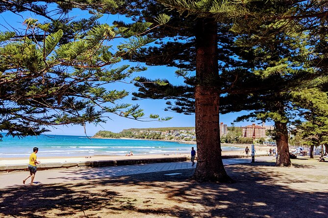 Golden Beaches and Ocean Vistas MANLY AND NORTHERN BEACHES PRIVATE TOUR - Golden Beaches and Ocean Vistas: Key Things You’ll Notice