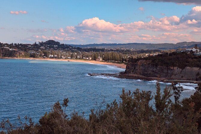 Golden Beaches and Ocean Vistas MANLY AND NORTHERN BEACHES PRIVATE TOUR - Balmoral Beach pass and Spit Bridge: two “small stops” with big atmosphere