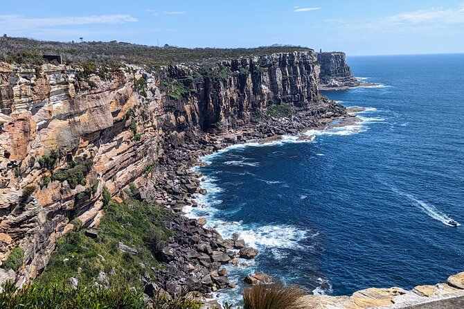 Golden Beaches and Ocean Vistas MANLY AND NORTHERN BEACHES PRIVATE TOUR - Long Reef Point: a rock platform walk with sea-life “targets”