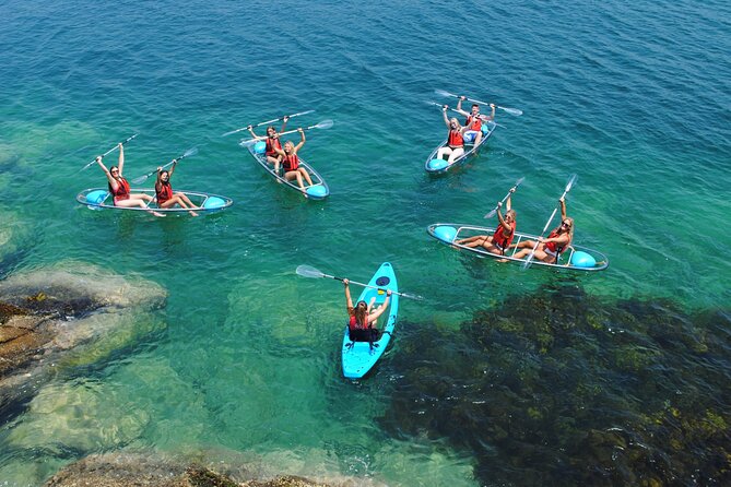 Guided Kayak Tour of Manly Cove Beaches - The value is in the setup, not just the paddle