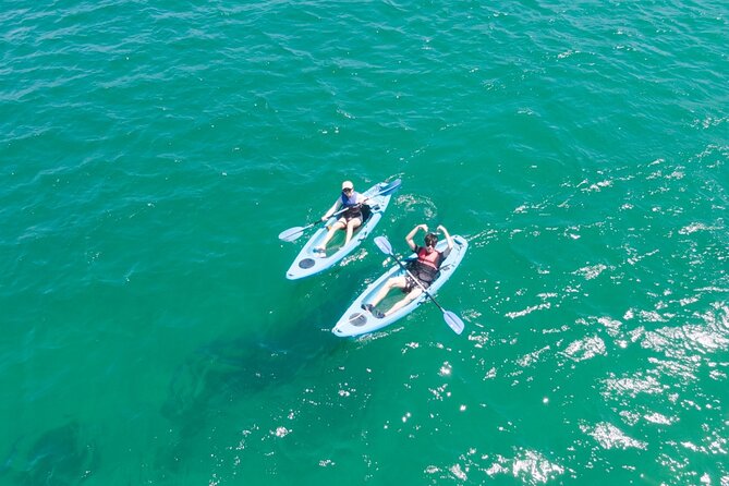 Guided Kayak Tour of Manly Cove Beaches - Stop 1, Collins Flat Beach: caves and mini-waterfalls up close