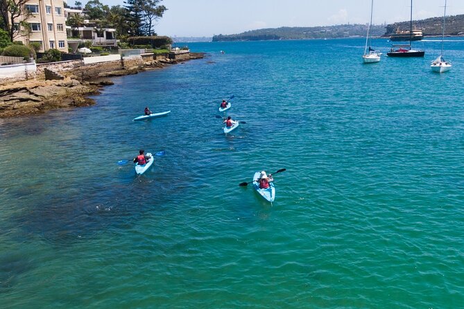 Guided Kayak Tour of Manly Cove Beaches - Snacks and hot drinks: the unglamorous part that makes it work