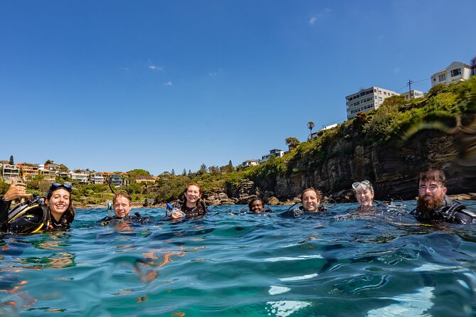 Guided Snorkeling Experience in Bondi - Where it starts on Bondi Road (and what that means for you)