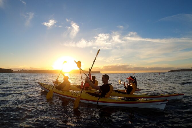 Guided Snorkeling Experience in Bondi - Your one-hour snorkeling session: what you will likely see