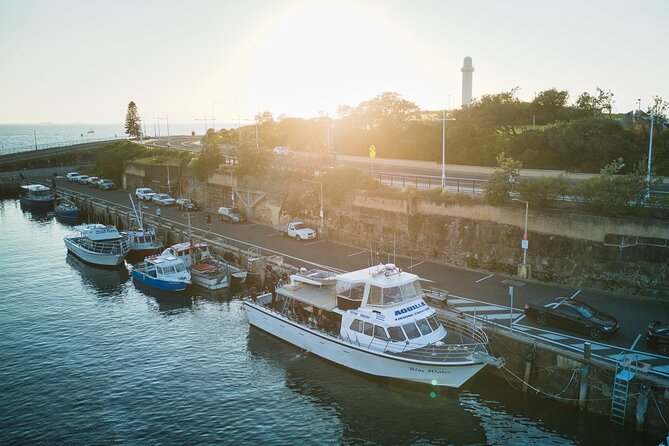Half-Day Deep Sea Fishing in Wollongong - Weekdays only - Wollongong morning fishing on a 60ft Conquest, starting at 6:00am