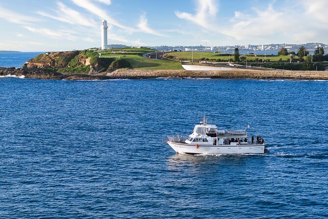 Half-Day Deep Sea Fishing in Wollongong - Weekdays only - Where you fish between Stanwell Park and Shellharbour (off the beach to 10Nm)