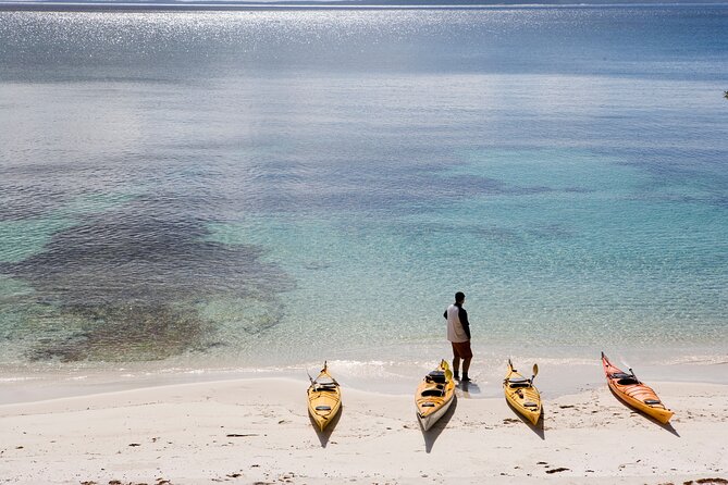 Half-Day Jervis Bay Sea Kayak Tour - Paddling the Booderee National Park Route, From Coastline to Murrays Beach