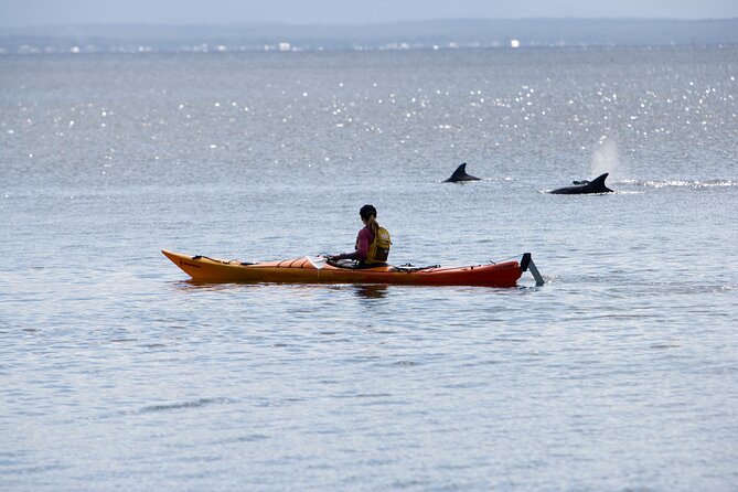Half-Day Jervis Bay Sea Kayak Tour - Huskisson Morning Start Time and Why It Matters