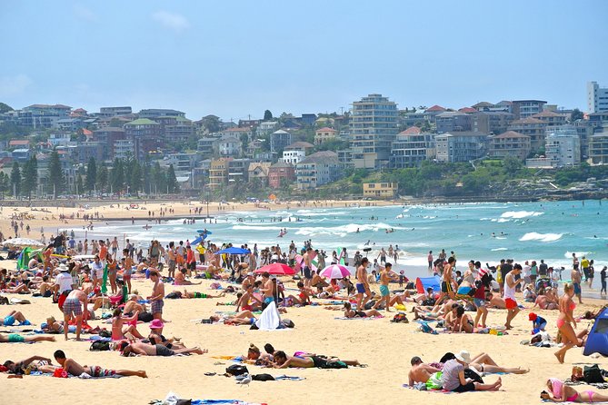 Half-Day or Full-Day Private Guide Hire From Sydney - Half-day or full-day: how to choose the right length