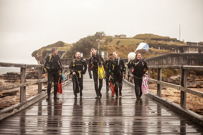 Half-Day Private Discover Dive at Australia's Iconic Beach - Key Highlights You’ll Actually Feel