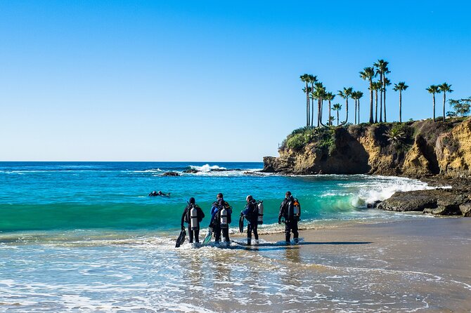 Half-Day Private Discover Dive at Australia's Iconic Beach - The Ocean Session: Guided, Practical, and Built for First-Timers