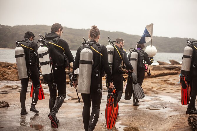 Half-Day Private Discover Dive at Australia's Iconic Beach - Small Group Energy: Why Private for Up to 2 Works