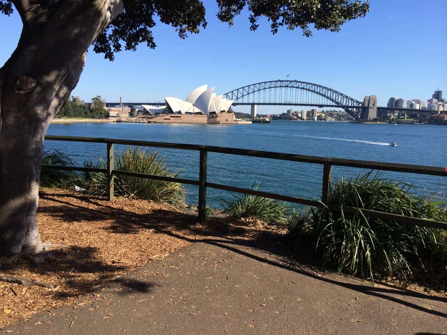 Half Day Small Group : The Story of Sydney Tour - Bondi Beach and shopping time: your classic stop, with guided meaning