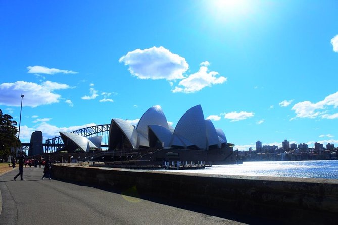 Harbour Sights Running Tour - Opera House sails and The Rocks cobbles: icons plus old street-level drama