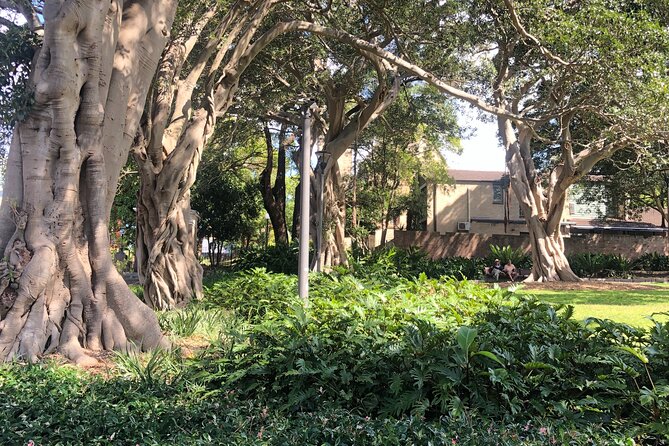 Historic Walking Tour of Glebe - Stop 1: St Johns Anglican Church at 138A Glebe Point Rd