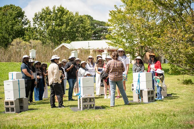 Honey Farm Tour. Morning Tea. Guided Tasting - Key moments that make this Honey Farm tour worth it