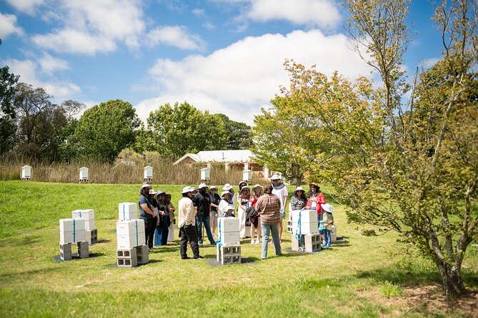 Honey Farm Tour. Morning Tea. Guided Tasting - Who should book this Honey Farm Tour?