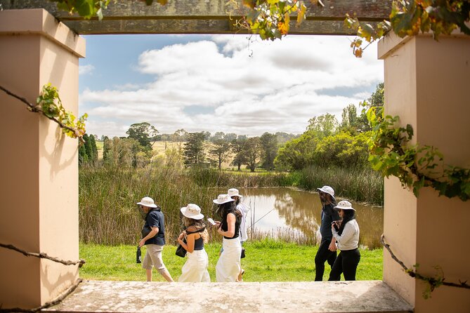 Honey Farm Tour. Morning Tea. Guided Tasting - Practical tips before you go