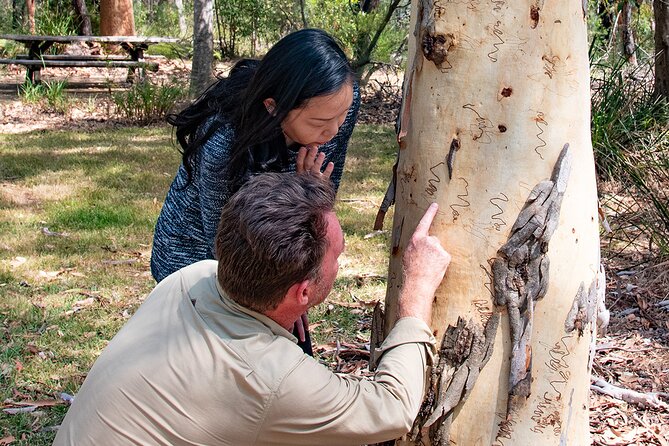 Horse Riding, Koalas & Kangaroos - Wild Australia: Private Tour - Walkabout Wildlife Sanctuary: koalas, kangaroos, and more