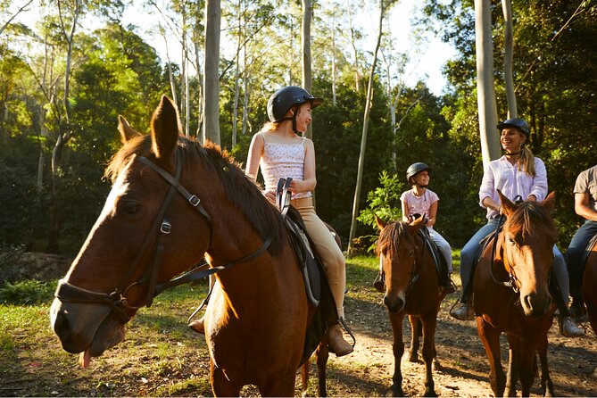 Horse Riding, Koalas & Kangaroos - Wild Australia: Private Tour - Warrah Lookout flying fox colony and the coastal rhythm