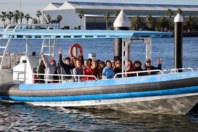 Humpback Whale Encounter Tour from Newcastle - Reading Whale Behavior: Breaches, Tail Slaps, and Fin Drama