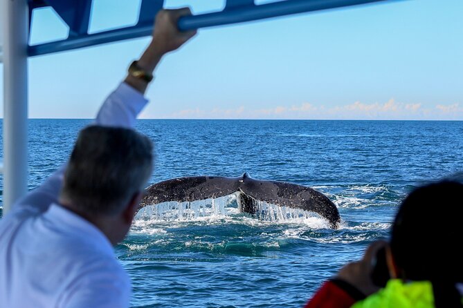 Humpback Whale Encounter Tour from Newcastle - Who This Whale Cruise Fits Best (and Who Might Want a Different Day)
