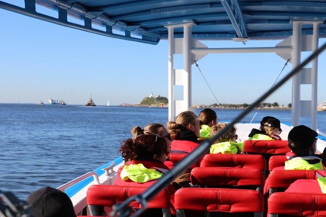 Humpback Whale Encounter Tour from Newcastle - Should You Book This Humpback Whale Encounter Tour from Newcastle?