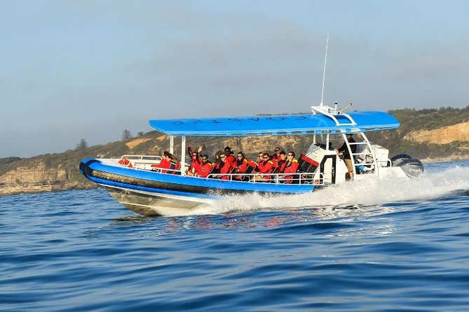 Hunter Coastal Adventure Tour by Boat from Newcastle - Forts, Cliffs, and History You Can See From Your Seat