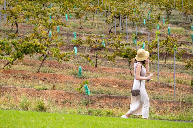 Hunter Valley All Inclusive, Wine, Chocolate Tasting and Lunch - Stop 2, 4 Pines at the Farm: Tastings, Then Lunch in the Middle of It All