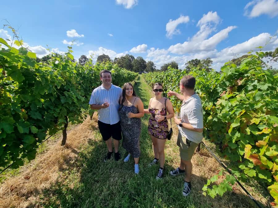 Hunter Valley: Beer & Wine Group Tour - Quick hits before you book