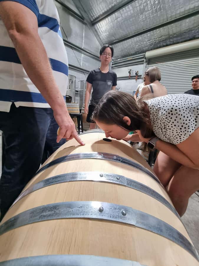 Hunter Valley: Beer & Wine Group Tour - Lunch is more than food: it sets the tone (and drink choice)