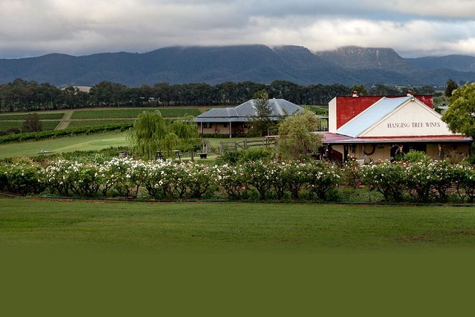 Hunter Valley Highlights Private Wine Tour from Sydney - Hanging Tree Wines: steps, views, and the Harbour photo moment