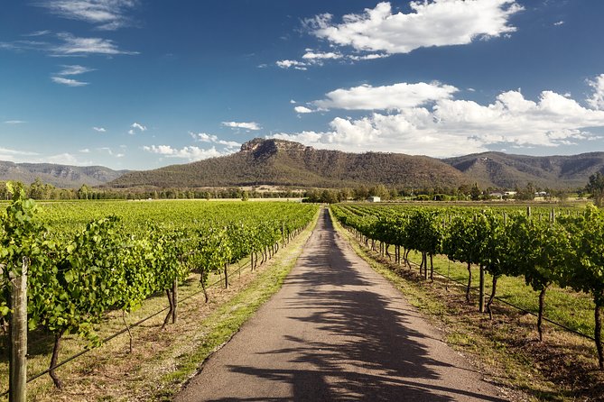 Hunter Valley Highlights Private Wine Tour from Sydney - Hunter Valley through the lens of Semillon and Shiraz