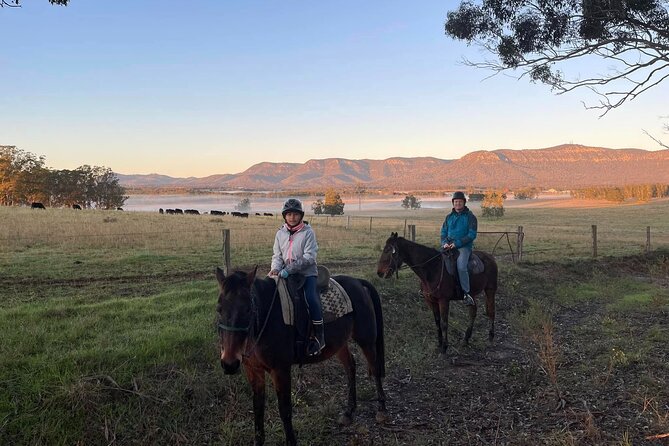 Hunter Valley Horse Ride - 90 Minutes -Vineyard & Mountain Views - Brokenback Range views, and why the route’s “calm” style matters
