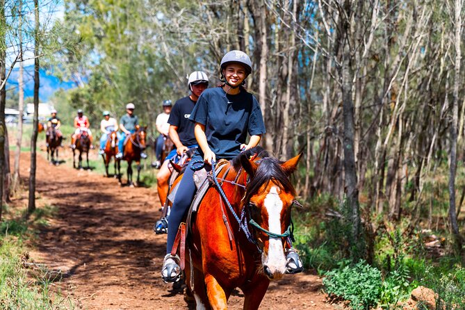 Hunter Valley Horse Ride - 90 Minutes -Vineyard & Mountain Views - Horses, group size, and who this ride fits best