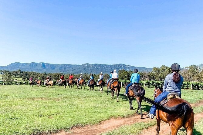 Hunter Valley Horse Ride - 90 Minutes -Vineyard & Mountain Views - Day-of planning: timing, weather, and staying flexible