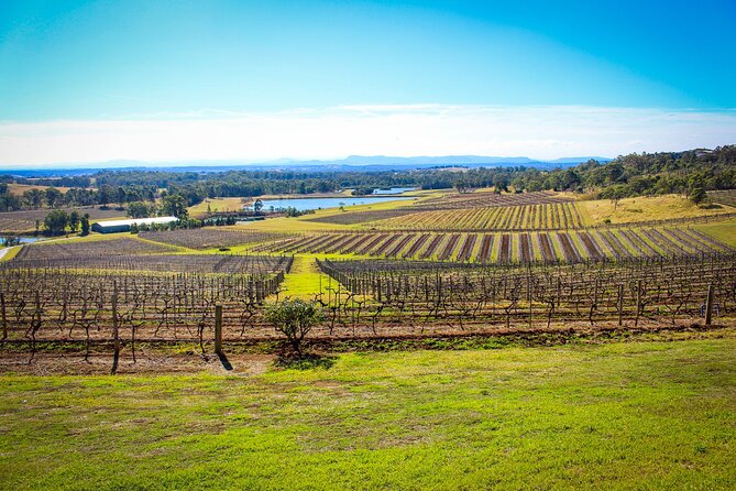 Hunter Valley Private Tour - Food Breaks You’ll Actually Look Forward To: Lunch Options and Local Bites