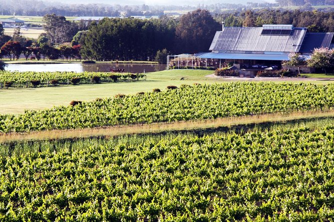 Hunter Valley Private Wine Tasting Tour from Sydney - Key highlights worth the money