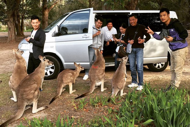 Hunter Valley Private Wine Tasting Tour from Sydney - A quick Wyong coffee stop to reset before tastings