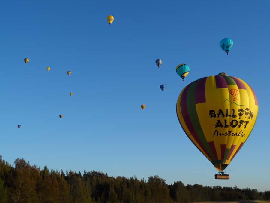 Hunter Valley: Sunrise Balloon Ride with Bubbly Breakfast - Taking off and flying over Pokolbin, Lovedale, and Rothbury