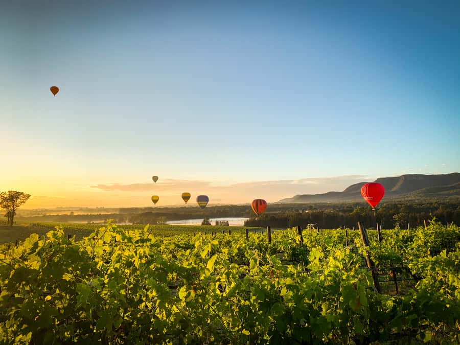 Hunter Valley: Sunrise Balloon Ride with Bubbly Breakfast - Landing, transfer to Peterson House, and how to keep your morning smooth