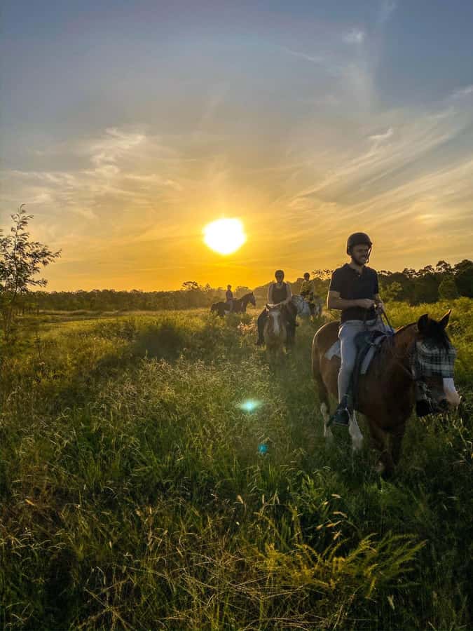 Hunter Valley: Sunset Horse Riding Tour 90min - Key things I’d watch for before you book