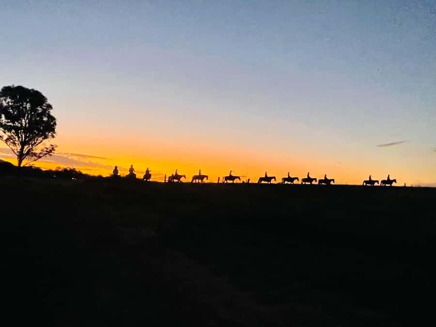 Hunter Valley: Sunset Horse Riding Tour 90min - 90 minutes of sunset riding in Hunter Valley Resort country
