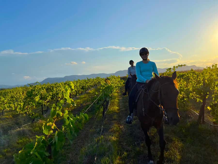 Hunter Valley: Sunset Horse Riding Tour 90min - Meeting your guide and getting to know your horse first