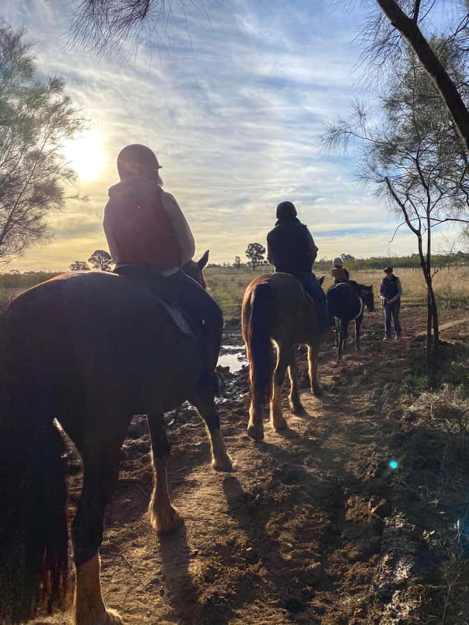Hunter Valley: Sunset Horse Riding Tour 90min - Dusk wildlife: what you might see and how to enjoy it